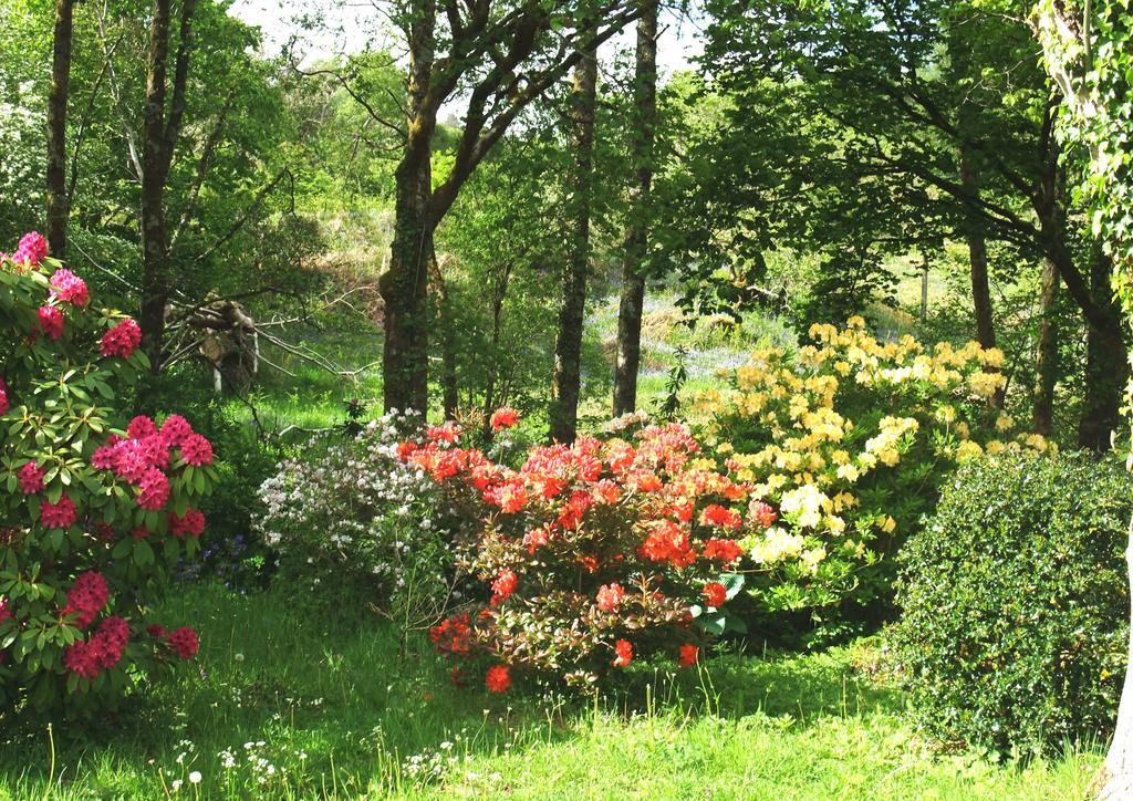Inverawe Cottages 테이뉠트 외부 사진